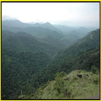 Stay In A Homestay In Chikmagalur Javali PO, Chikmaglur 4